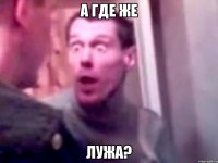 А ГДЕ ЖЕ ЛУЖА?