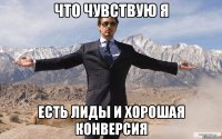 Что чувствую я есть лиды и хорошая конверсия