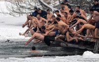 прыгните в воду дам 14 голосов, Комикс гем