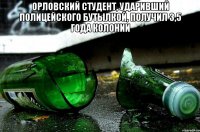 Орловский студент, ударивший полицейского бутылкой, получил 3,5 года колонии 