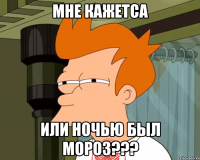 Мне кажетса Или ночью был мороз???