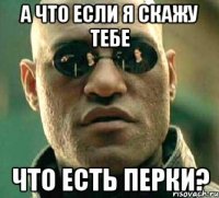 а что если я скажу тебе что есть перки?