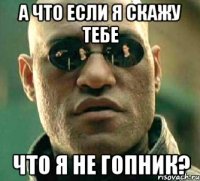 А что если я скажу тебе что я не гопник?