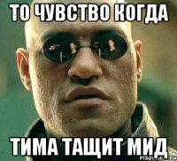 то чувство когда тима тащит мид