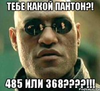 тебе какой пантон?! 485 или 368????!!!