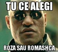 Tu ce alegi Roza sau Romashca