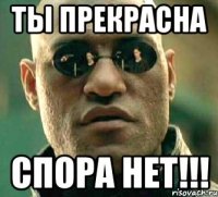 Ты прекрасна Спора нет!!!