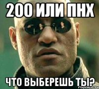 200 или ПНХ Что выберешь ты?