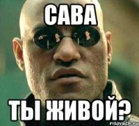 Сава Ты живой?