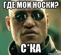 Где мои носки? С*ка