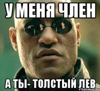 У меня член А ты- толстый лев