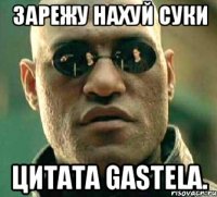 Зарежу нахуй суки Цитата GASTELA.