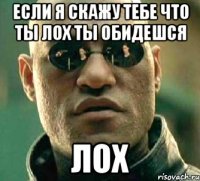 Если я скажу тебе что ты лох ты обидешся Лох