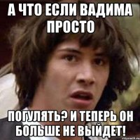 А что если Вадима просто погулять? И теперь он больше не выйдет!
