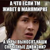 а что если тм живет в манямирке а укры выносят наши скрытные дивизии?