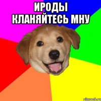 ироды кланяйтесь мну 