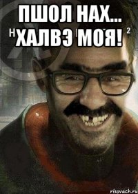 Пшол нах... Халвэ моя! 