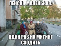 пенсия маленькая: один раз на митинг сходить