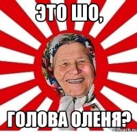 это шо, голова оленя?