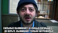  Сильные выживают, а слабые погибают — не верьте. Выживают только хитрожопые