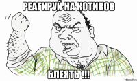 РЕАГИРУЙ НА КОТИКОВ БЛЕЯТЬ !!!