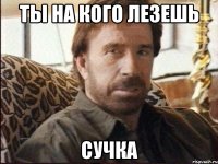 ты на кого лезешь сучка