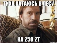 тихо катаюсь в лесу на 250 2т