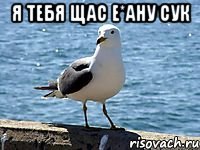 Я тебя щас е*ану сук 