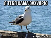 я тебя сама захуярю 