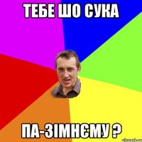 Тебе шо сука па-зімнєму ?