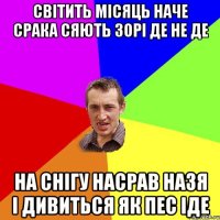 Світить місяць наче срака Сяють зорі де не де На снігу насрав Назя І дивиться як пес іде