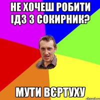 Не хочеш робити ІДЗ з Сокирник? мути вєртуху