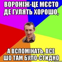 Вороніж-це мєсто де гулять хорошо, А вспомінать, все шо там було-стидно