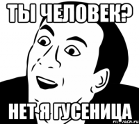 ты человек? нет я гусеница