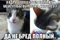 А вдруг Google хотел выкупить Valve чтобы выпустить Half Life 3 ? Да не бред полный..