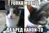 Yurka mobile Да бред какой-то