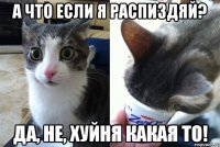 а что если я распиздяй? да, не, хуйня какая то!