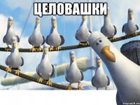 целовашки 