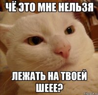 чё это мне нельзя лежать на твоей шеее?