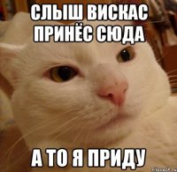 слыш вискас принёс сюда а то я приду