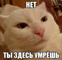 НЕТ ТЫ здесь умрёшь