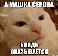 а машка серова блядь оказывается