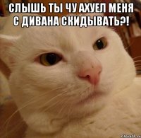 слышь ты чу ахуел меня с дивана скидывать?! 