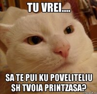 tu vrei.... sa te pui ku poveliteliu sh tvoia printzasa?