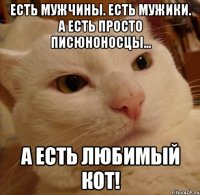 Есть мужчины. Есть мужики. А есть просто писюноносцы... А есть любимый кот!