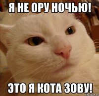 Я не ору ночью! Это я кота зову!