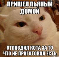 Пришел пьяный домой Отпиздил кота за то что не приготовил есть