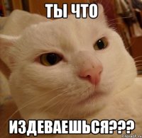 ты что издеваешься???