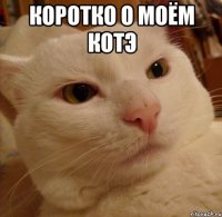 Коротко о моём котэ 