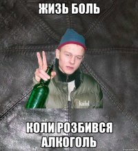 Жизь боль коли розбився алкоголь